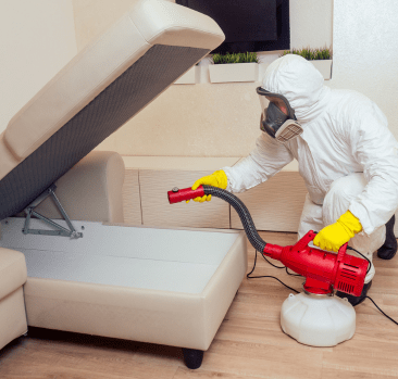 Bed Bug Control