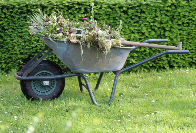Clear Out Yard
