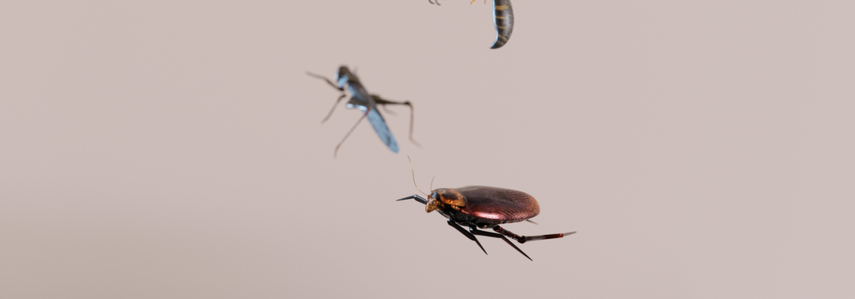 Insect Control