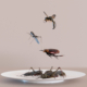 Insect Control